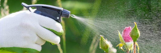 Chemical Pesticides in Your Home Garden: Safe or Risky?