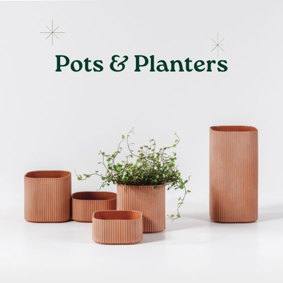 Pots and Planters